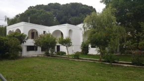 Zoe's Studios Koukounaries
